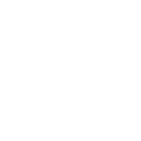 sn88 icon