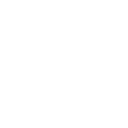 sn88 icon
