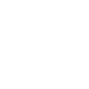 sn88 icon