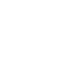 sn88 icon