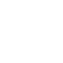 sn88 icon
